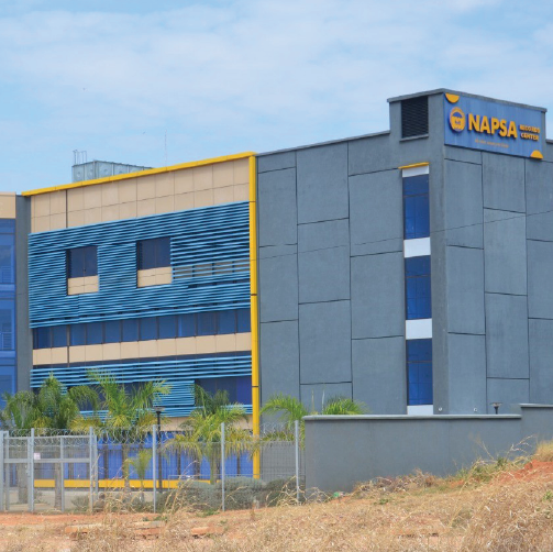 NAPSA Housing Project